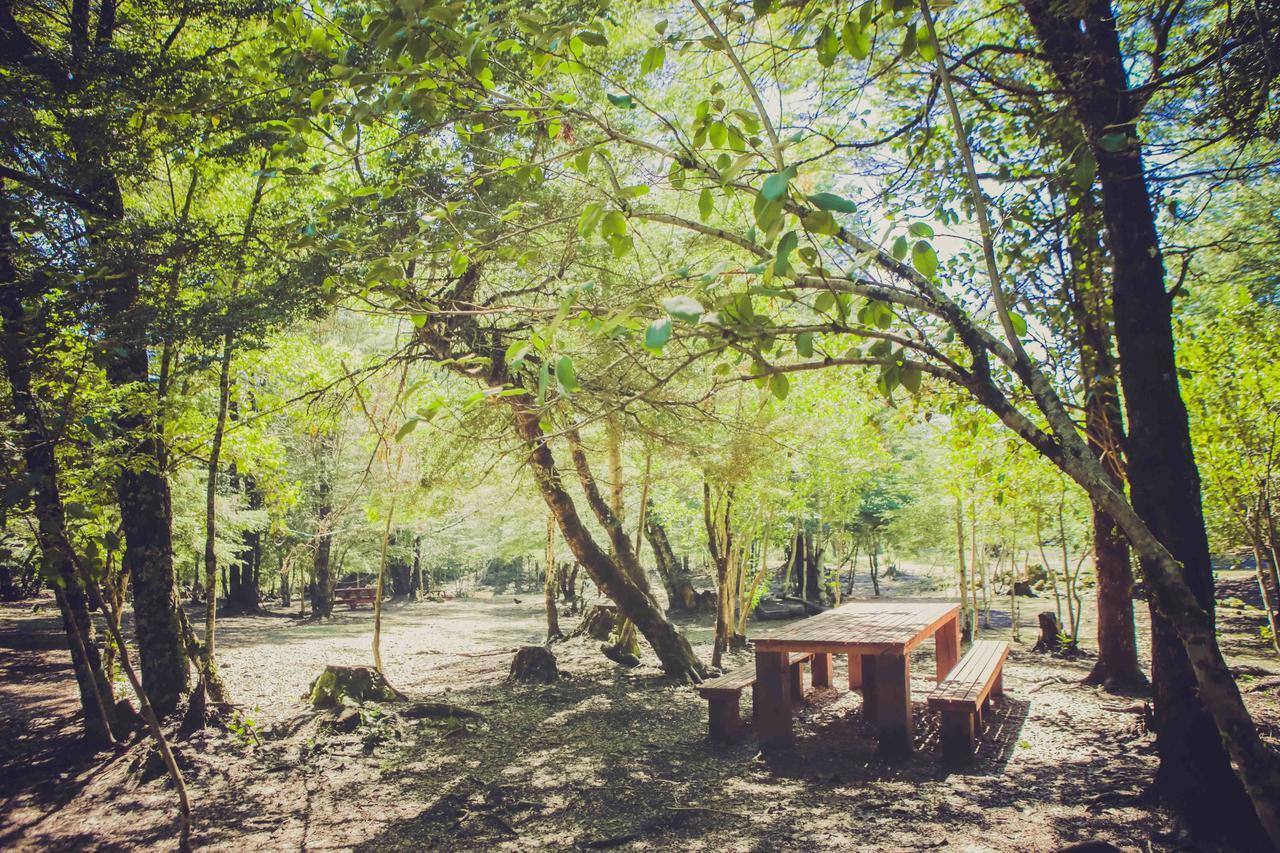 Вилла Llaima Camp Куракаутин Экстерьер фото