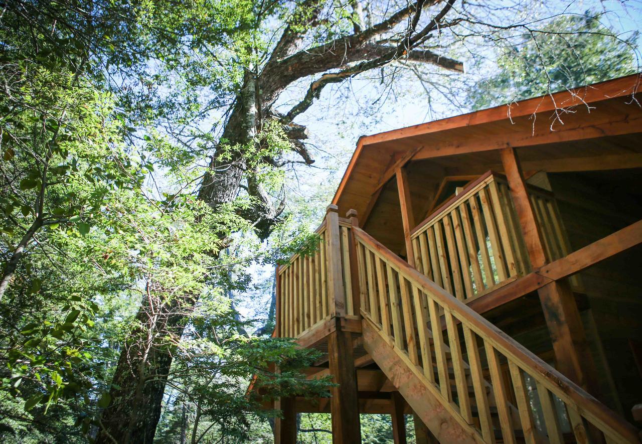 Вилла Llaima Camp Куракаутин Экстерьер фото