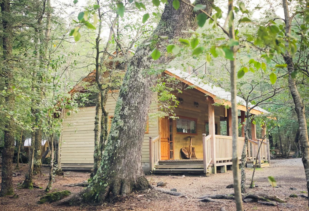 Вилла Llaima Camp Куракаутин Экстерьер фото